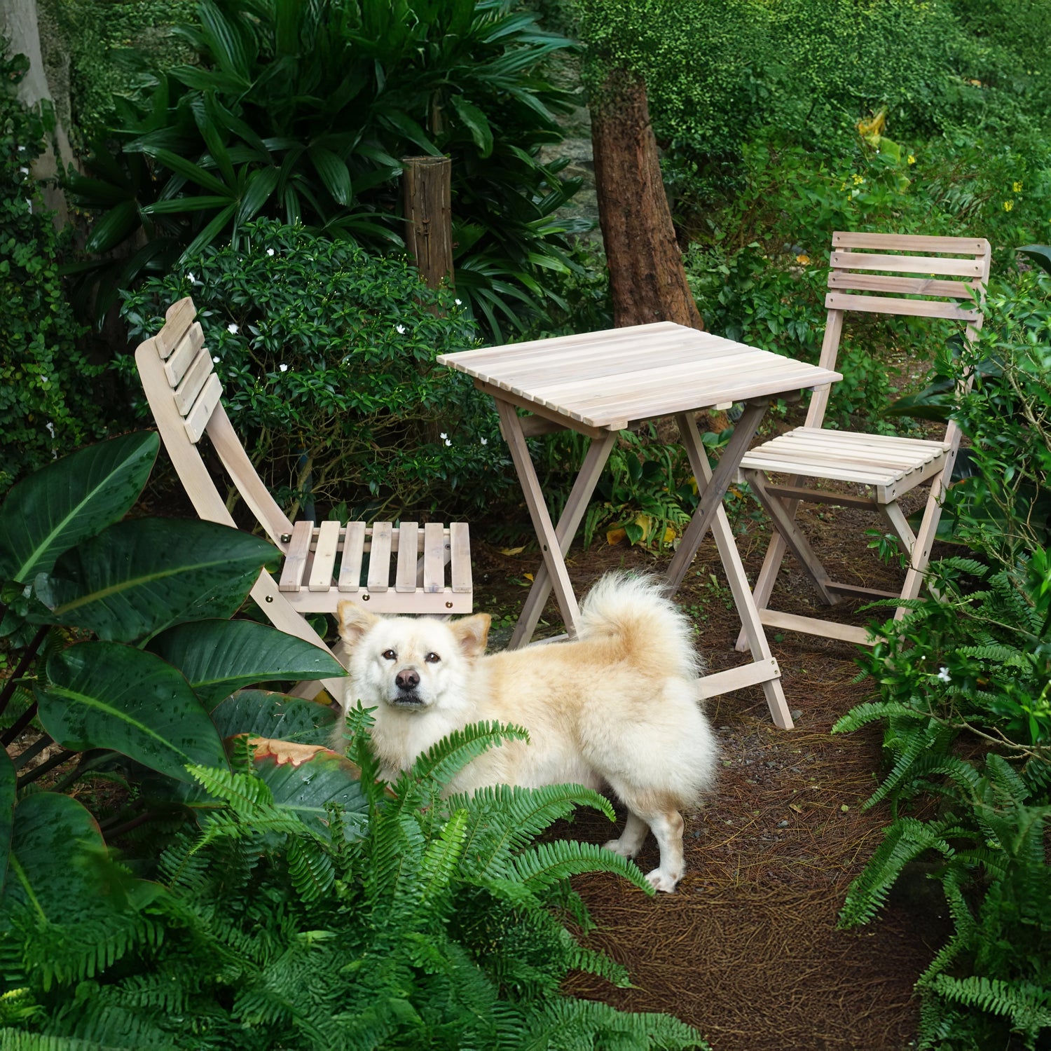 BISTRO SET