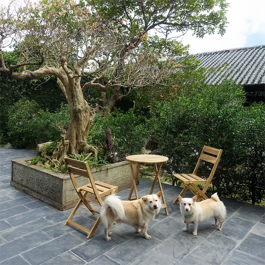 Barnnet Bistro Set